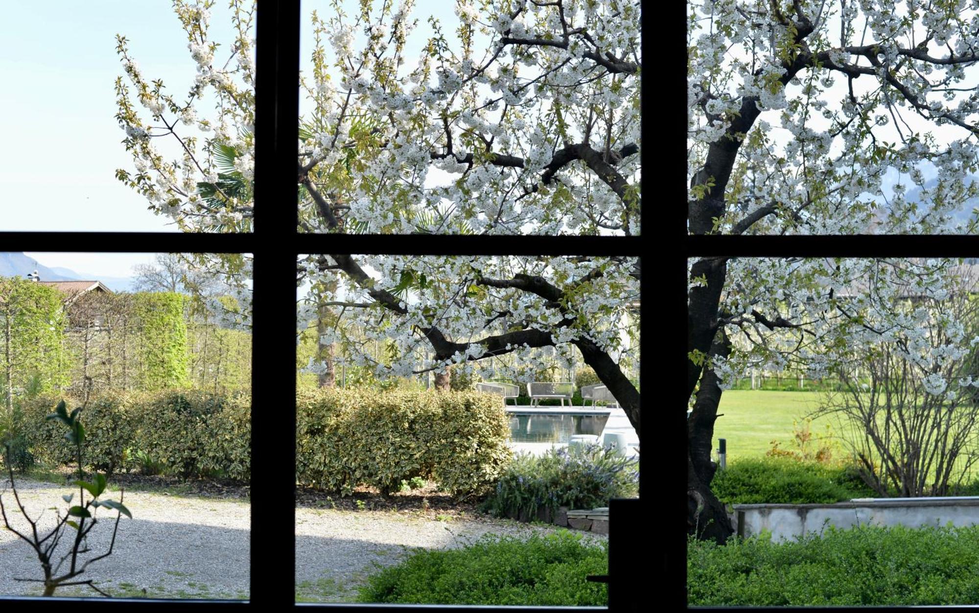 Haus Wiesenstein Lana Bagian luar foto